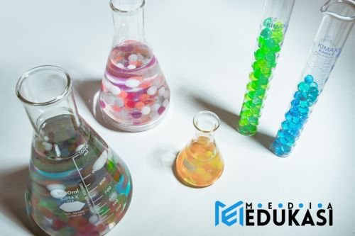 Bikin Mikroba Baik Happy! Pola Makan & Hidup Ini Kunci Sehatmu