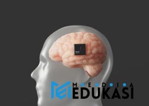 Bisa tidaknya kita mengunggah otak ke cloud dan hidup selamanya secara digital?