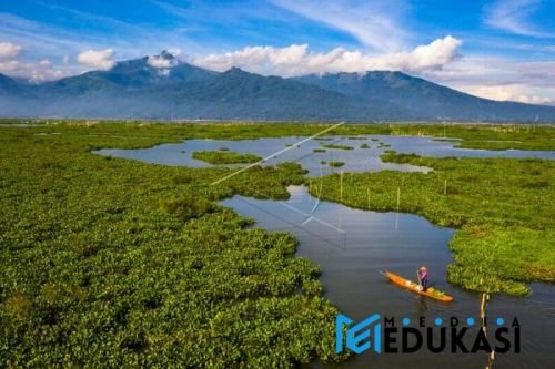 Danau Rawa Pening: ekosistem rawa yang masih lestari.