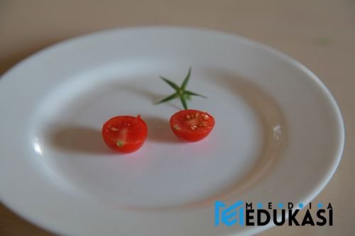 Gunakan piring kecil untuk kontrol porsi makan.