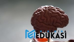 Jaga Kesehatan Mental: 7 Cara Praktis Atasi Cemas & Overthinking Tiap Hari