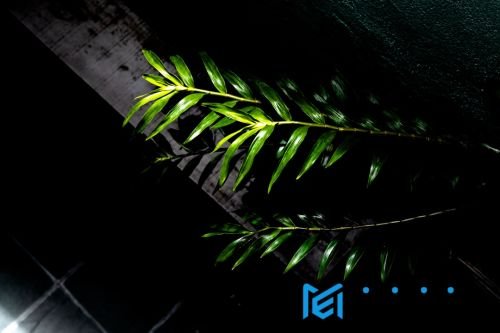 Materi Gelap Terpecahkan? Kisah Pencarian Ilmiah yang Mengubah Dunia
