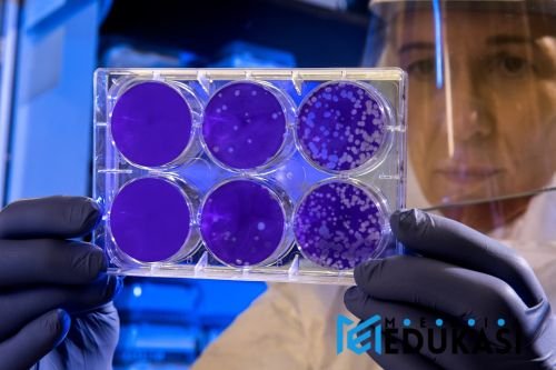 Membongkar Otak Kreatif: Tingkatkan Ide Brilian Ala Neurosains