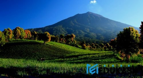 Menyusuri hutan hujan tropis di Taman Nasional Kerinci Seblat.