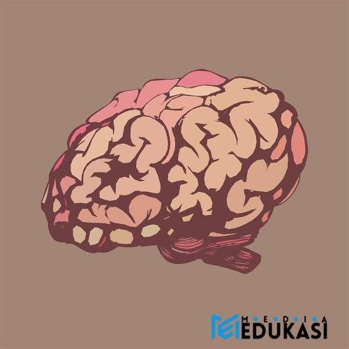 Otak Kiri Vs Otak Kanan: Mitos atau Fakta