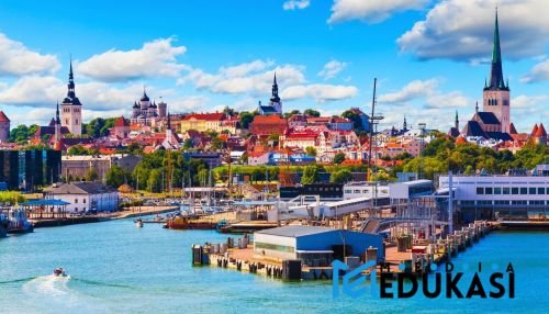 Revolusi Pendidikan di Estonia: Teknologi sebagai Tulang Punggung Sekolah