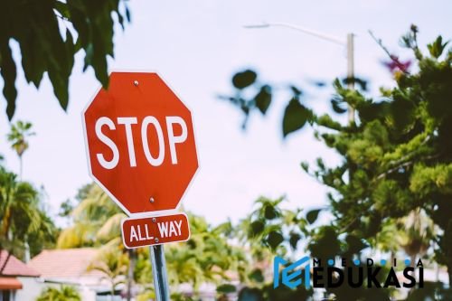Stop Ikuti Orang! Temukan Strategi Belajar Mandiri Paling Pas Untukmu.