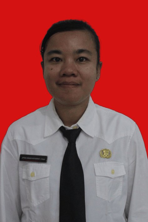 JIMINA HANANI HUTABARAT